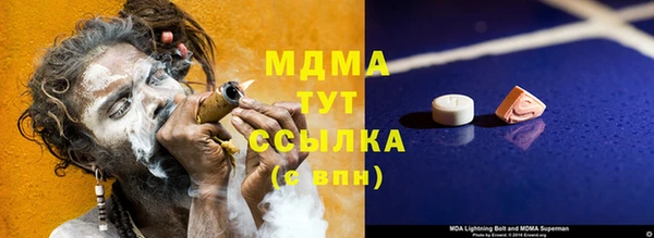 тгк Гусев