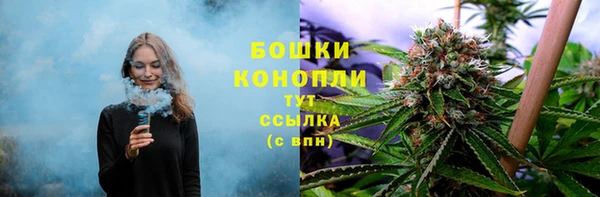 сатива Гусиноозёрск
