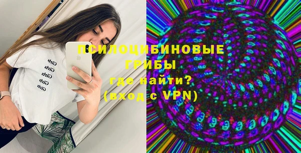 сатива Гусиноозёрск