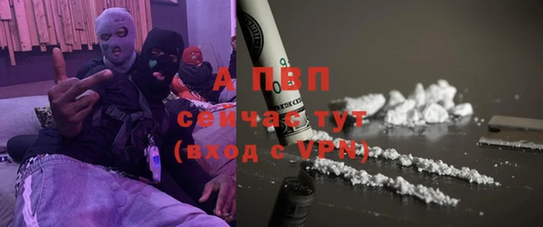 сатива Гусиноозёрск