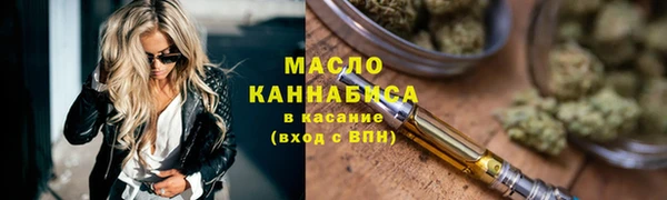 тгк Гусев