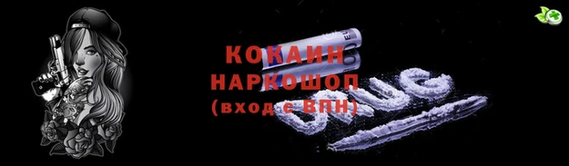 тгк Дмитриев