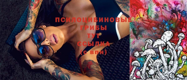 тгк Гусев