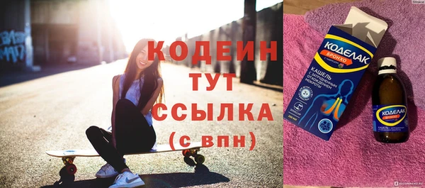 тгк Гусев