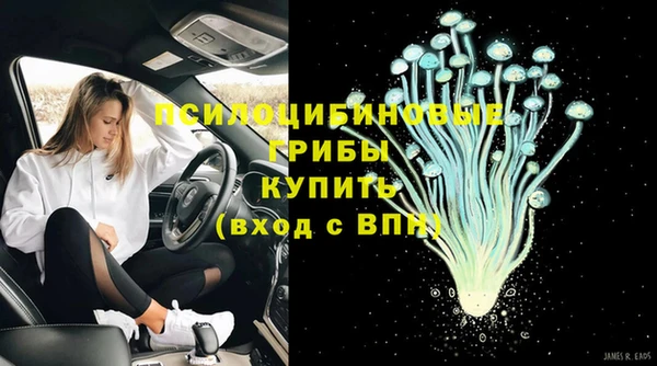 тгк Гусев