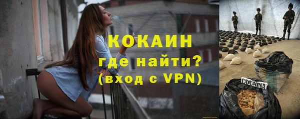 тгк Гусев